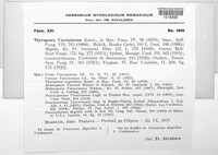 Naohidemyces vacciniorum image